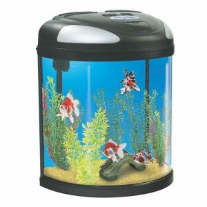 Cheap Aquarium