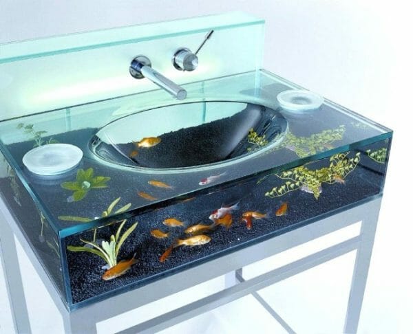 Sink aquarium
