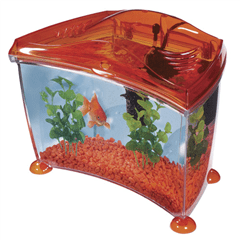 Toy Aquarium